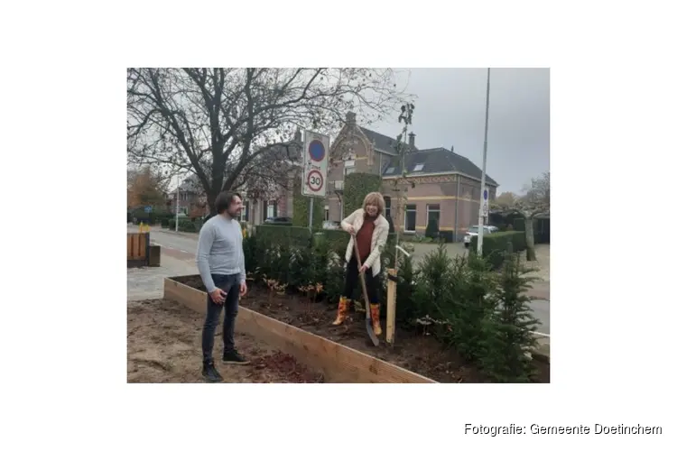 Bijna 5000 gratis bomen uitgedeeld door gemeente Doetinchem