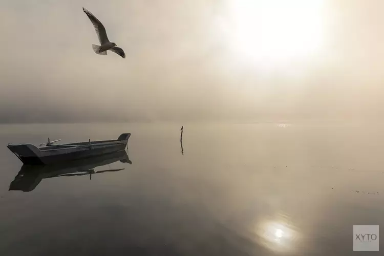 Hardnekkige mist en tot woensdag lenteachtig, daarna koeler