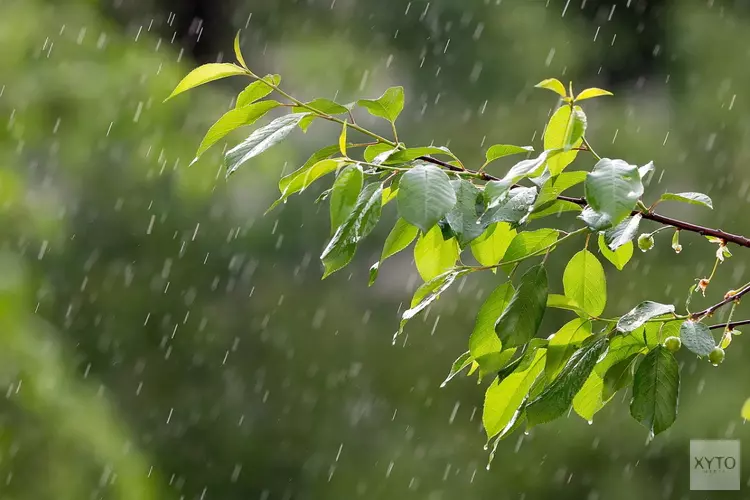 Geleidelijk minder wind en buien, maar weerbeeld blijft wisselvallig