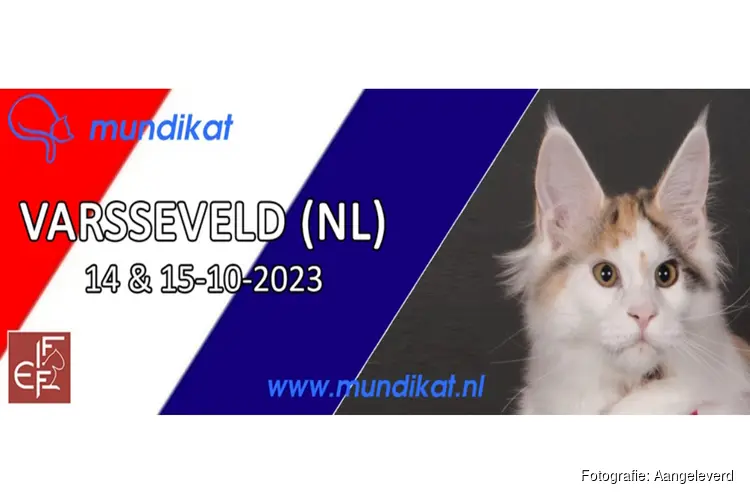 Zaterdag 14 en zondag 15 oktober 2023 organiseert Mundikat een katten show bij Optisport Van Pallandt in Varsseveld.