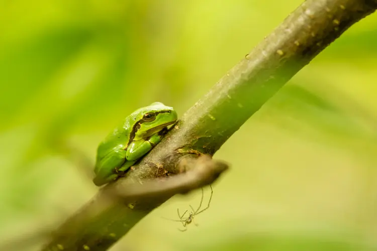 Buitenexpositie Fotoclub Doetinchem