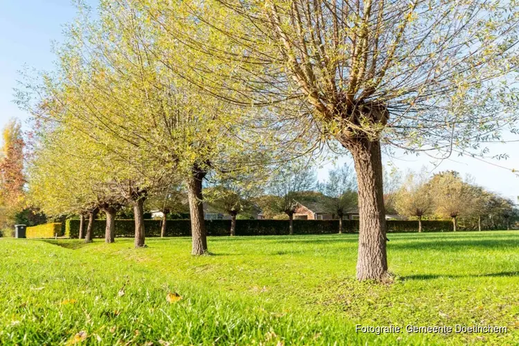 Hoe wilt u wonen in het landelijk gebied?