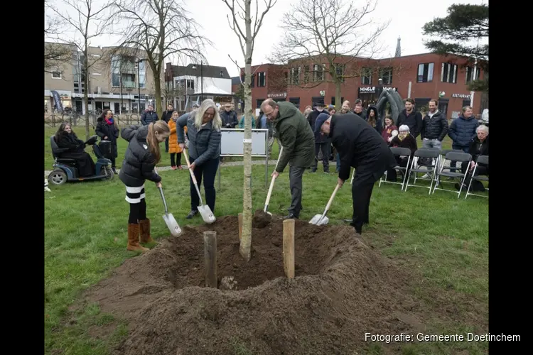 Nazaat van de Anne Frankboom geplant op het Mark Tennant Plantsoen